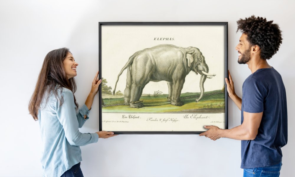 Martin Elias Ridinger