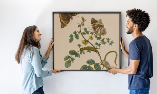 Maria Sibylla Graff (after) Merian