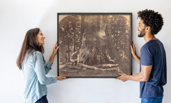 Carleton E. Watkins