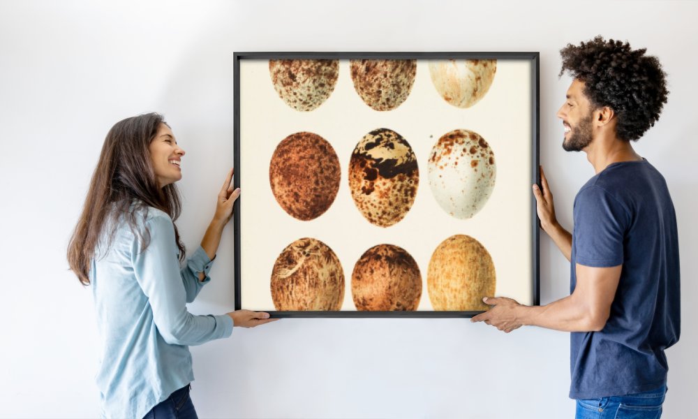 Georg Albert Julius Krause