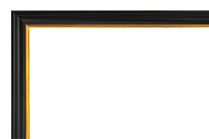 Afbeeldingslijst