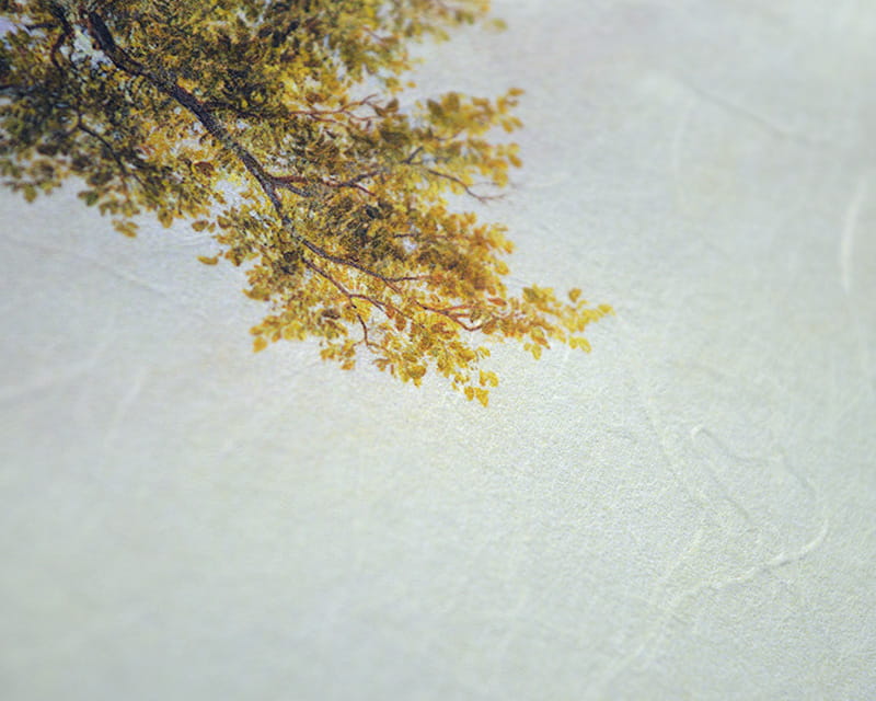 Unryu, 55g (Washi met troebele kozo-vezels)  16