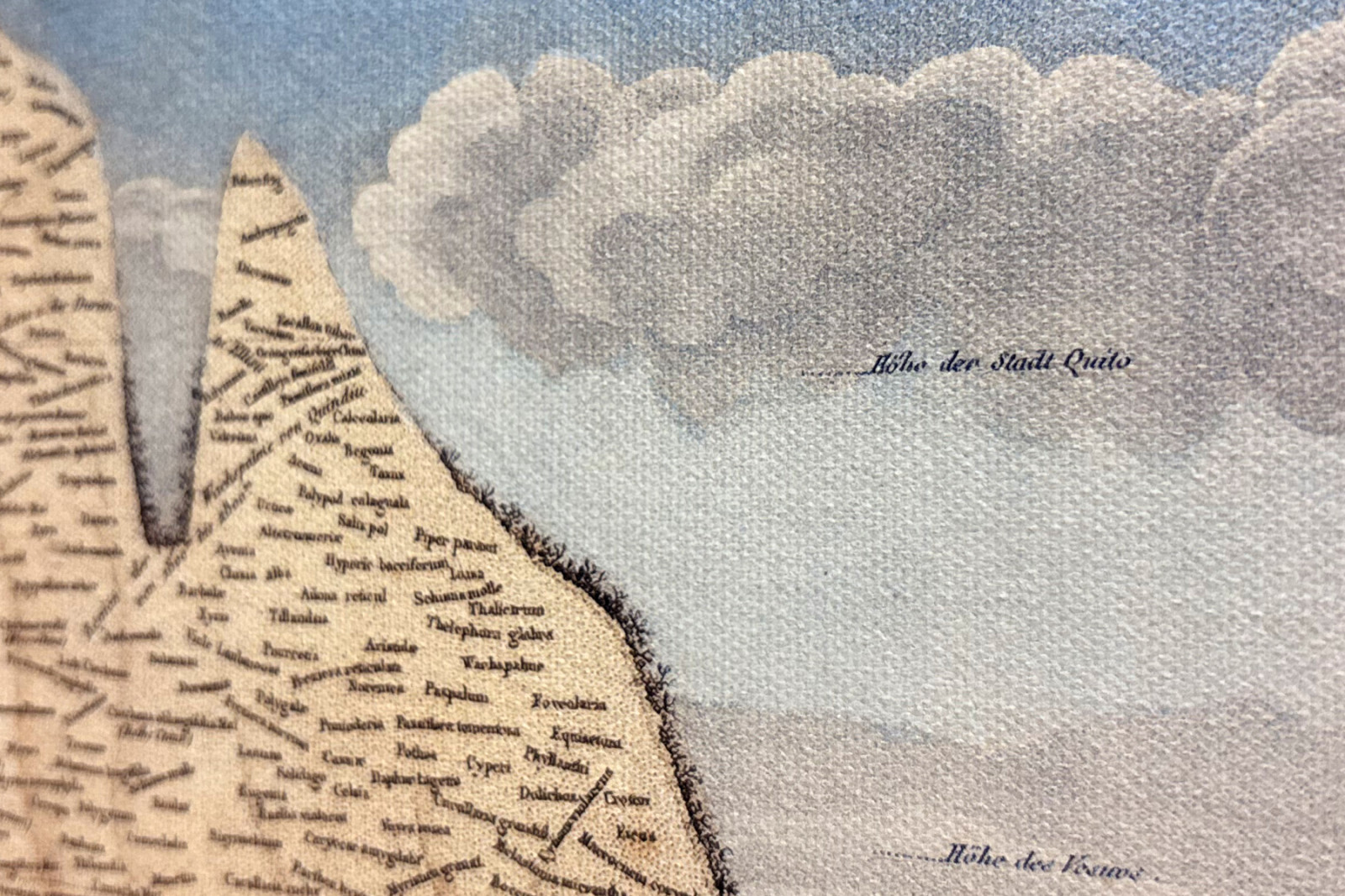 Geografie van planten in tropische landen, een studie van de Andes, getekend door Schoenberger en Turpin, gedrukt door Langlois, Parijs - Baron Friedrich Alexander von Humboldt