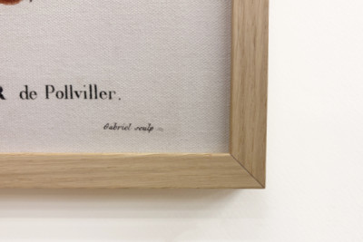 Poirier de Pollviller - in “Nouveau Duhamel du Monceau ou traité des arbres et arbustes que le culture en France”, figuren volgens de tekeningen van P.J. Redoute en P. Bessa, Parijs
