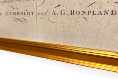 Geografie van planten in tropische landen, een studie van de Andes, getekend door Schoenberger en Turpin, gedrukt door Langlois, Parijs