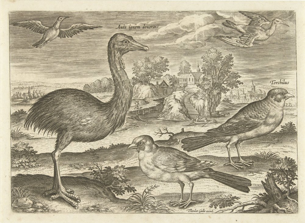 Enkele vogels in een landschap door Adriaen Collaert