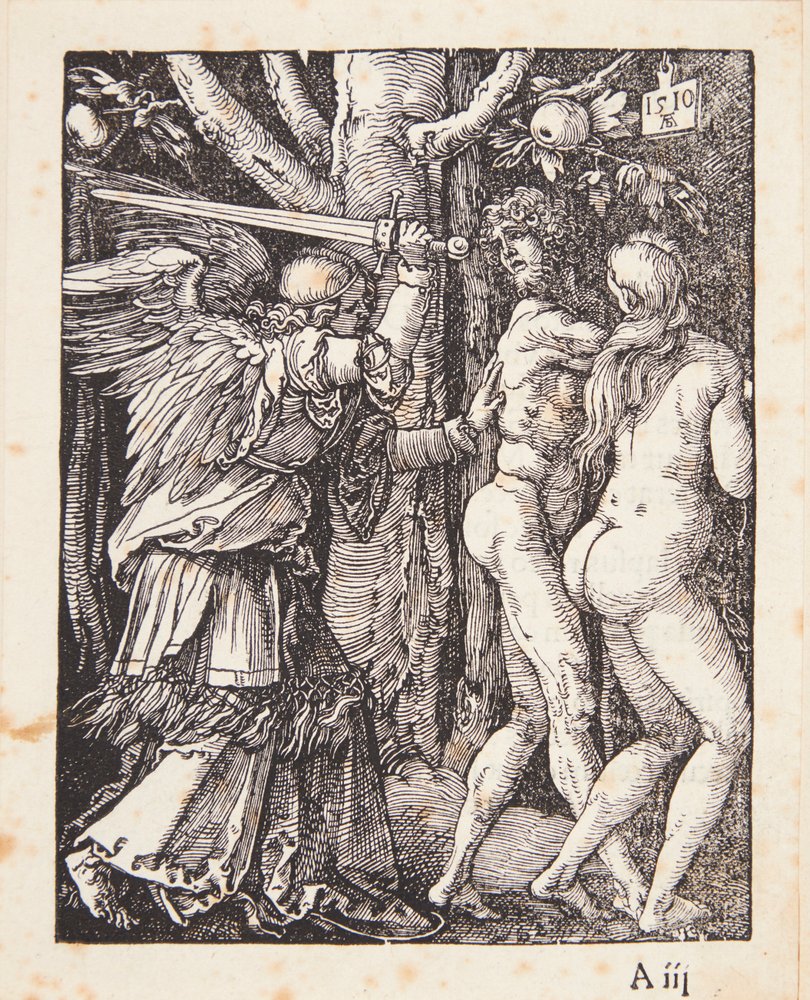 De verdrijving uit het paradijs door Albrecht Dürer