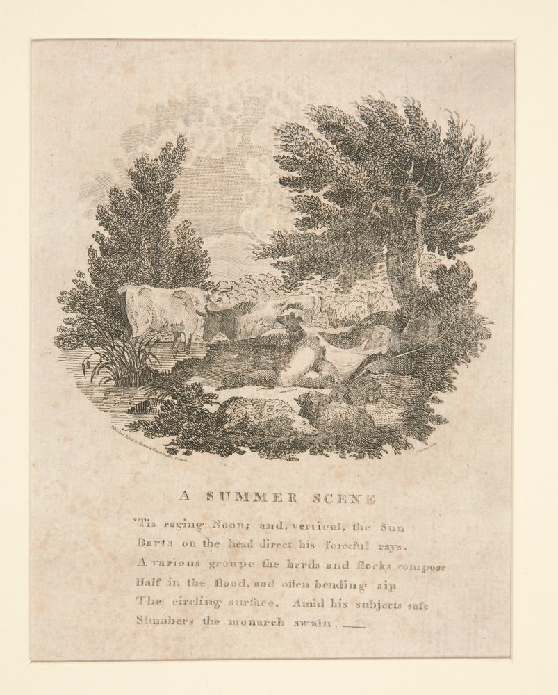 Een Zomers Tafereel (met vers) door Amos Doolittle
