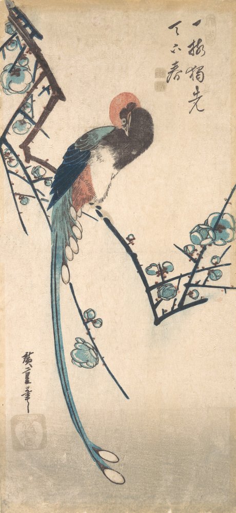 Langstaartvogel door Ando Hiroshige