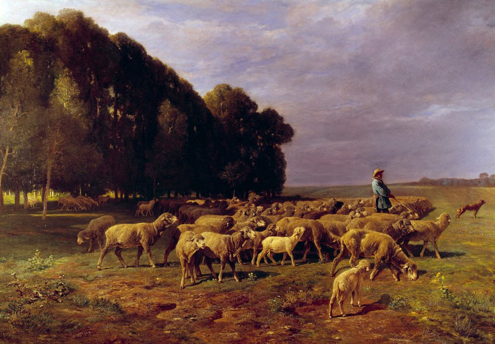 Kudde schapen in een landschap of “Herder die een kudde schapen op de vlakte voortdrijft”, 19e eeuw door Charles Emile Jacque