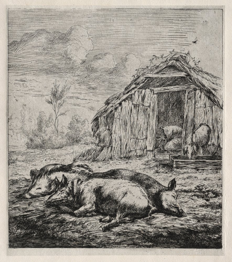 Drie varkens liggend voor een stal, 1850 door Charles Meryon