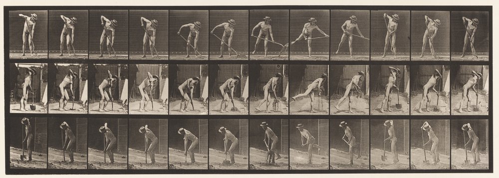 Plaat 387. Boer, Gebruikmakend van een Lange Steel Schep door Eadweard Muybridge