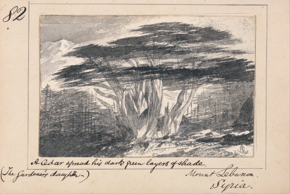 Illustratie bij Tennysons De dochter van de tuinman - Libanonberg, Syrië door Edward Lear