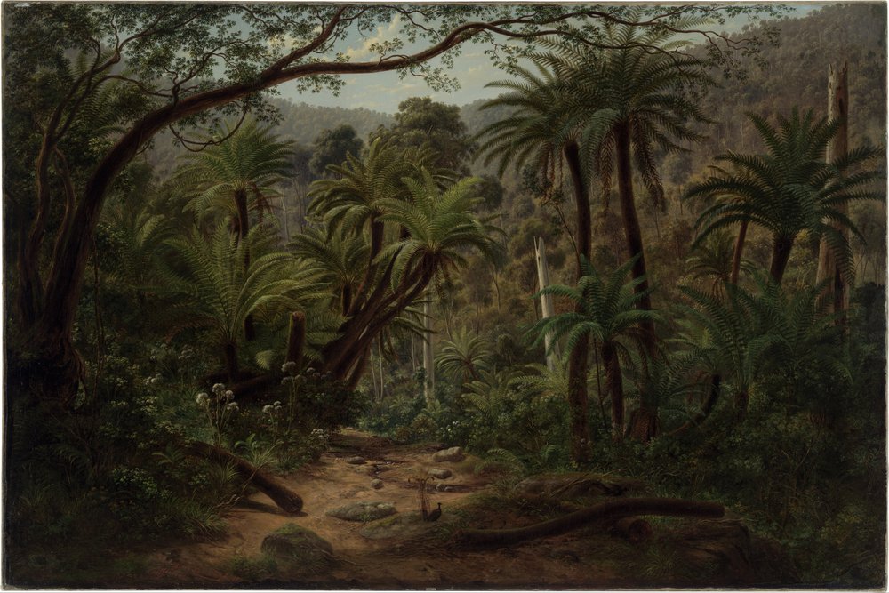 Ferntree Gully in de Dandenong Ranges door Eugene von Guérard