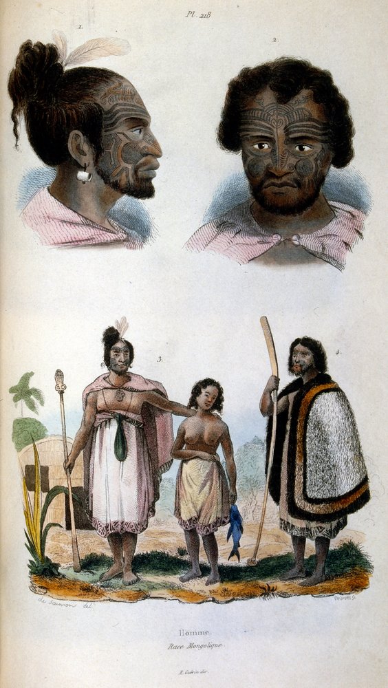 Antropologische illustratie van het Maori-ras