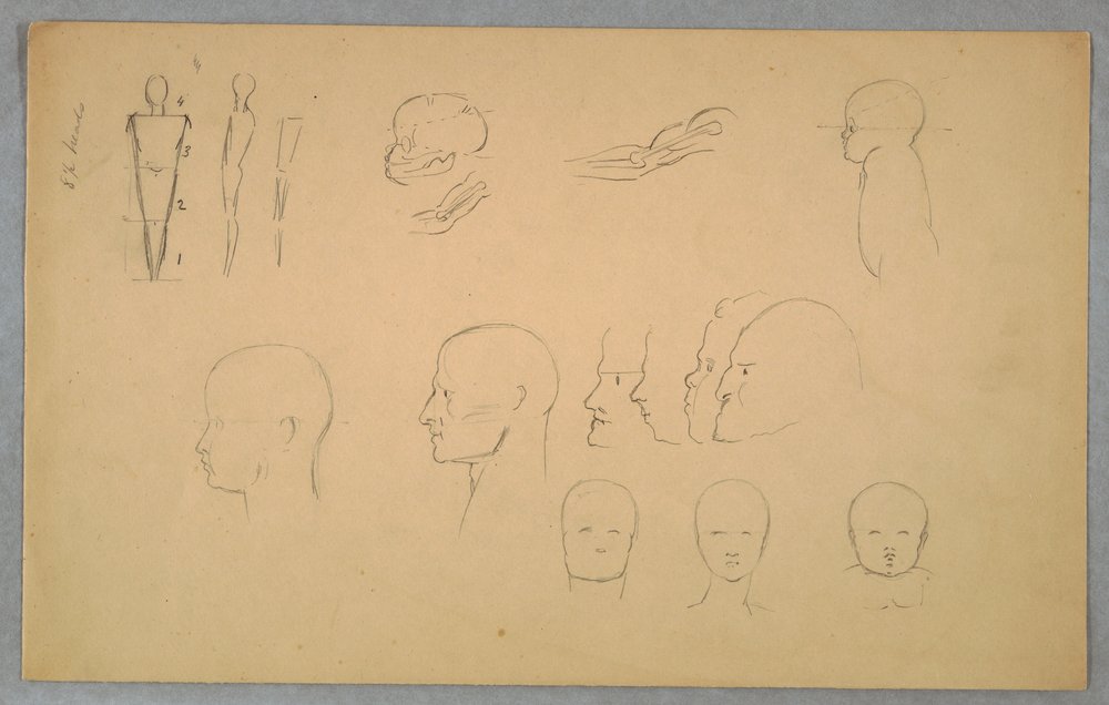 Tekening, Anatomische studies, 1865-70 door Frederic Edwin Church