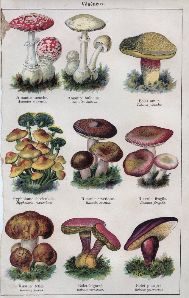 Illustratie voor "Mon docteur - traite de medecine et d