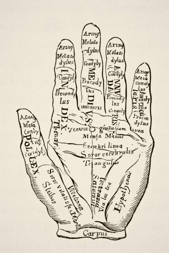 Voorbeeld van de linkerhand met de lijnen en hun horoscopische benamingen, uit "Wetenschap en literatuur in de middeleeuwen" van Paul Lacroix, gepubliceerd in Londen in 1878 door French School