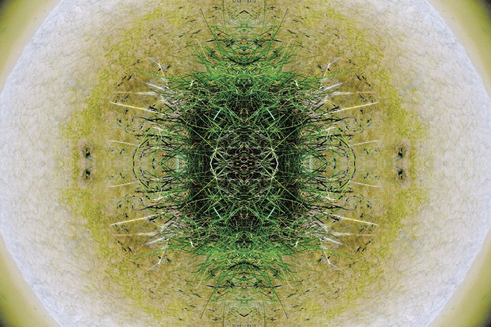 Onnatuurlijk 6.1 door Giovanni Cafagna