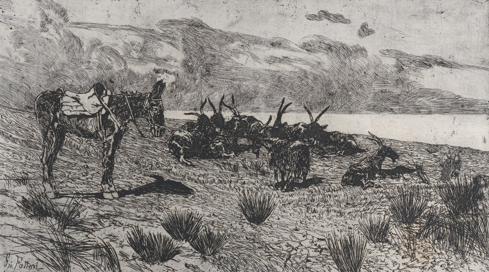 Ezel en geiten aan een kust in de winter door Giovanni Fattori