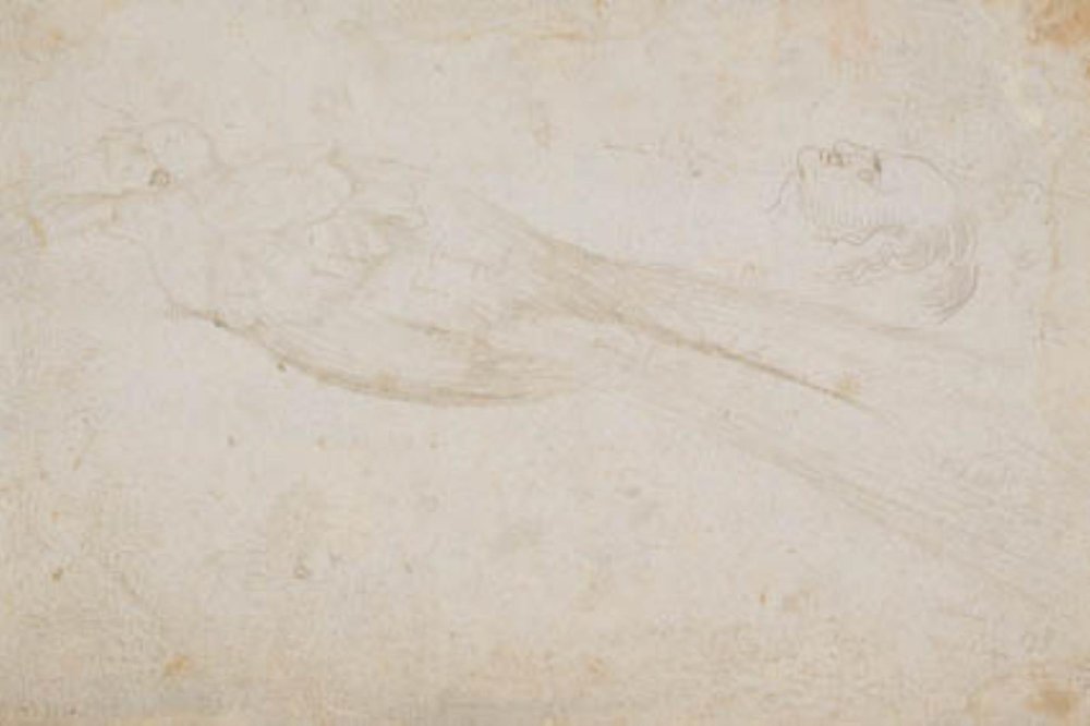 Mannetje paradijsvogel en het hoofd van een middelbare man in profiel naar links; ook details van door Hans Baldung Grien