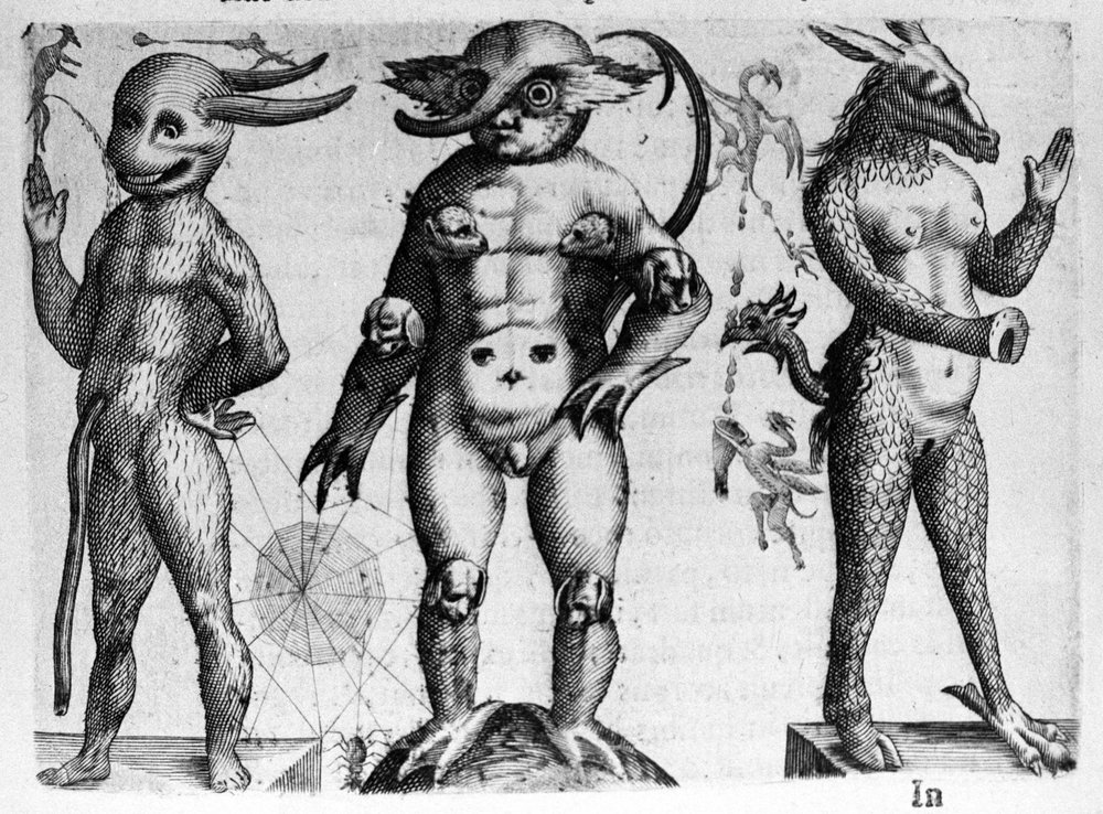 Verschillende soorten menselijke monsters met half menselijke, half ...