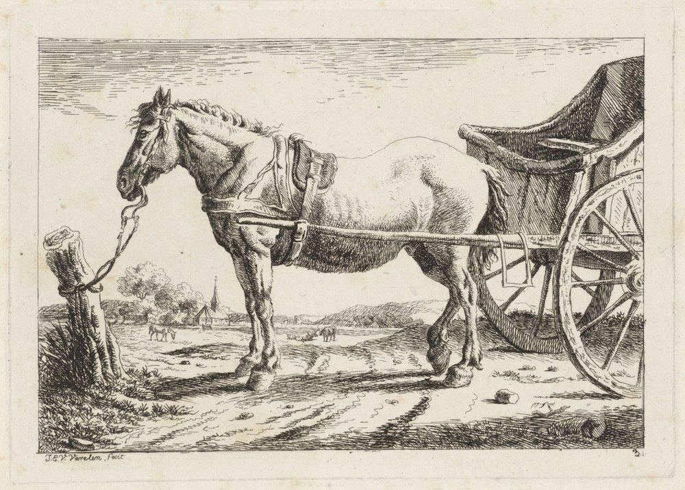Staand paard, voor een wagen gespannen | Kunstafdruk