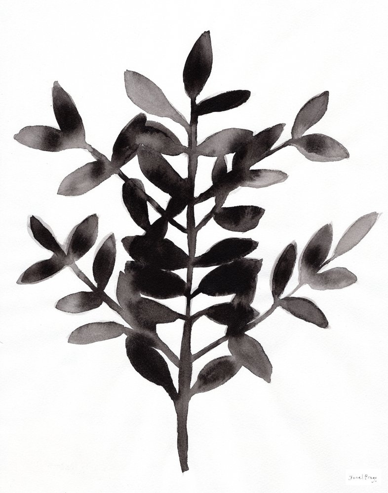 Botanisch met Nagi Fern III (inkt op papier) door Janel Bragg