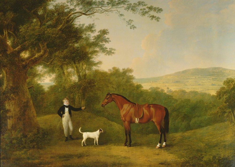 Portret van een jongen, een terriër en een kastanjebruine pony door John Boultbee