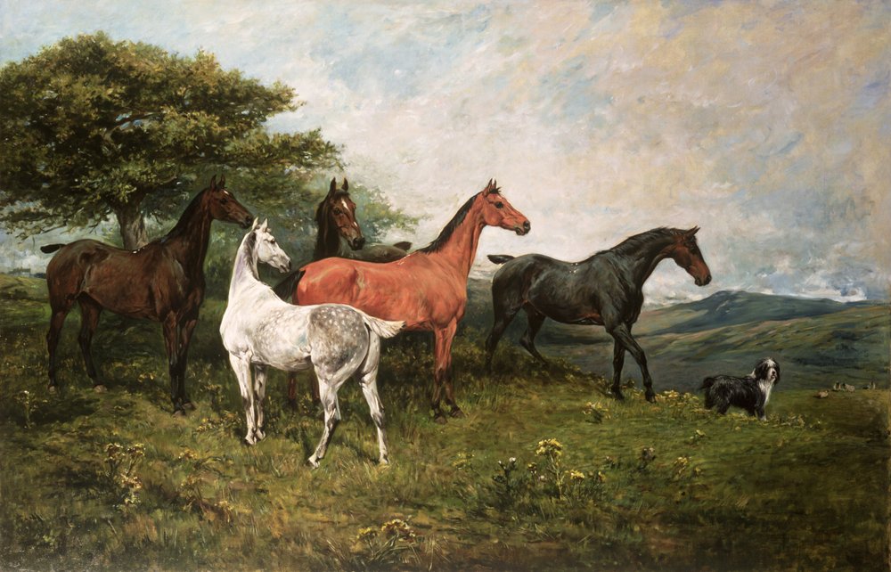 Merries en veulen met een herdershond door John Emms