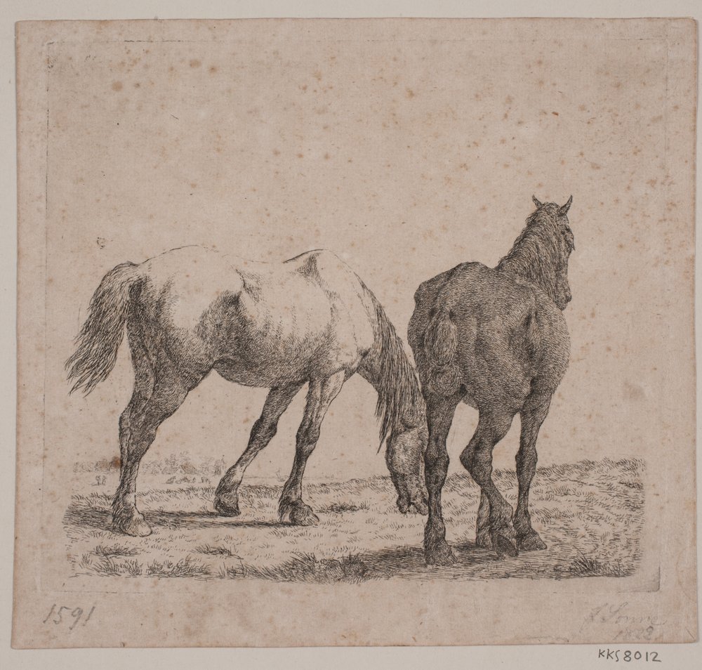 Twee paarden door Jørgen V. Sonne