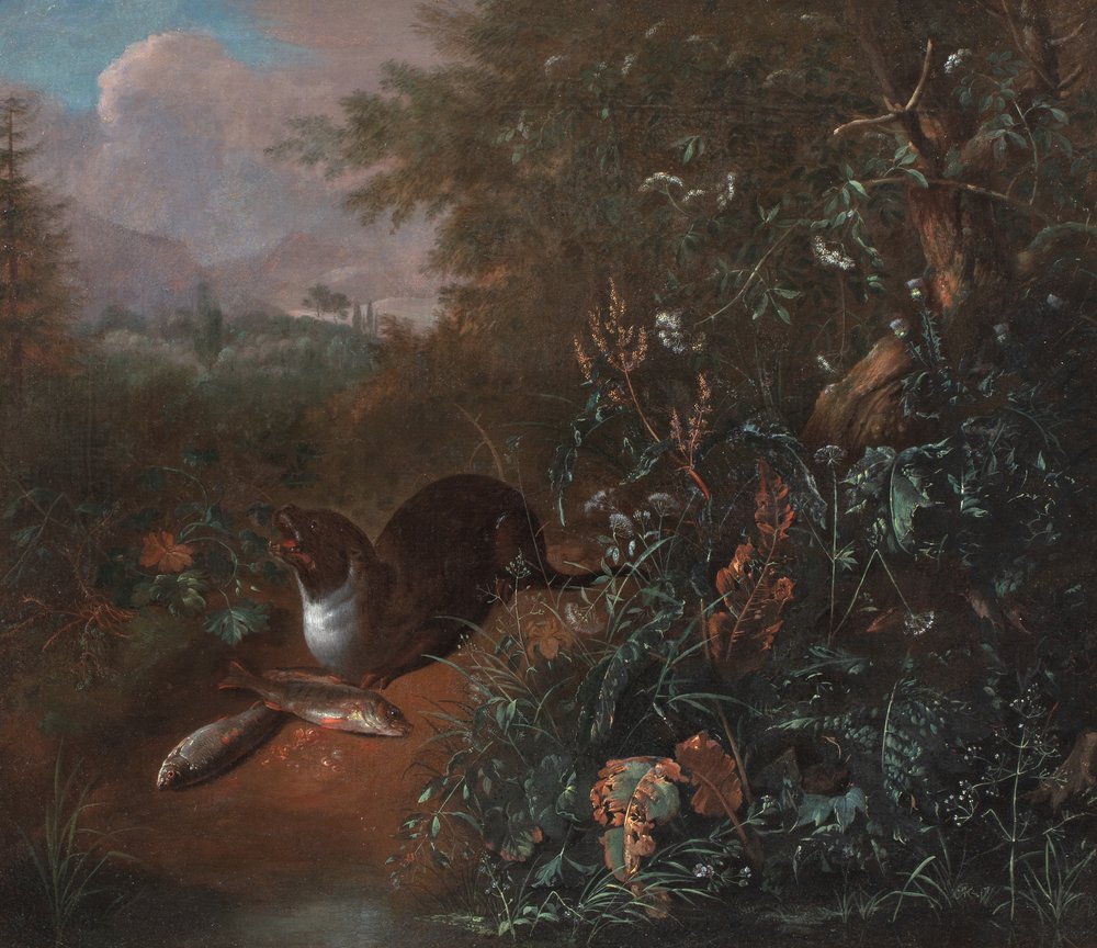 Een bosstilleven met een otter en twee vissen, ca. 1650-1700 (olieverf op doek) door Matthias Withoos