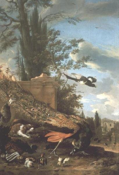 Een pauw en een spaniël in de tuin van een villa door Melchior de Hondecoeter