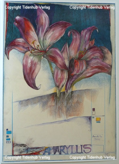 Amaryllis door Ole West