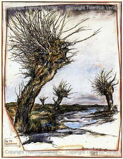 Knotwilgenland - Klein door Ole West