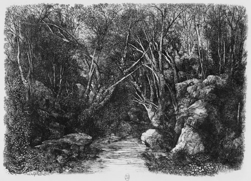 De Stroom door de bomen, 1880 door Rodolphe Bresdin