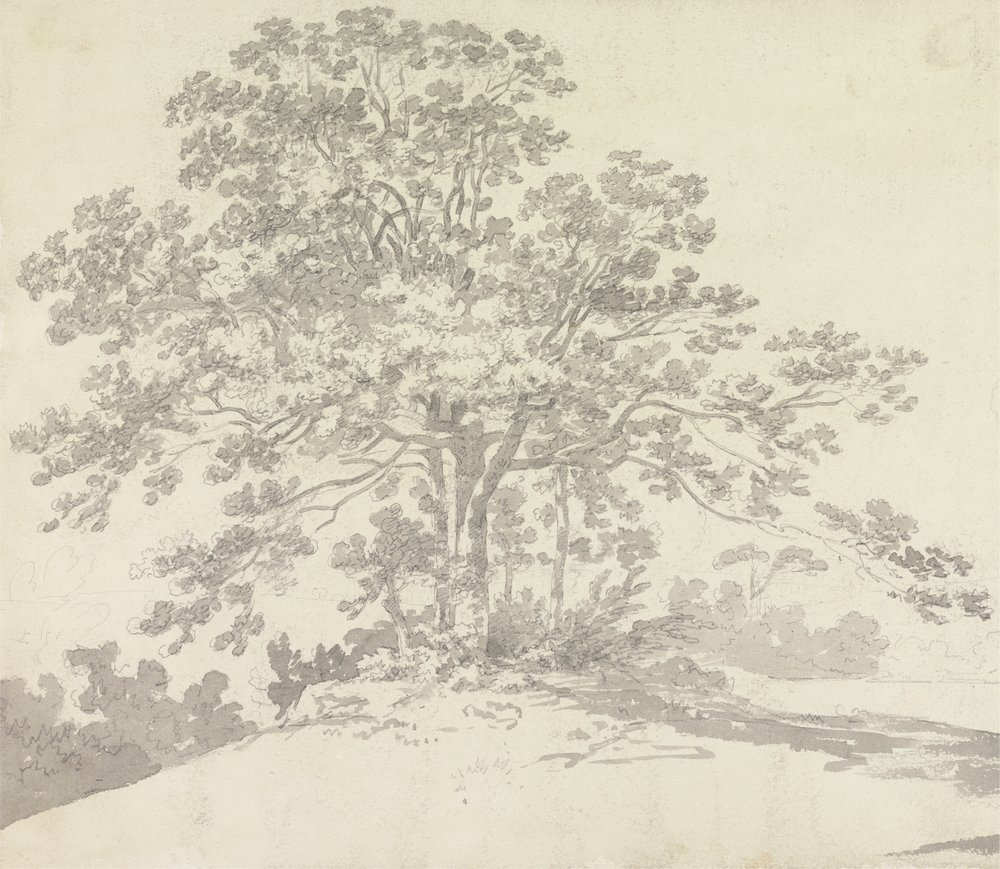 Boom | Sir George Howland Beaumont seventh Baronet
