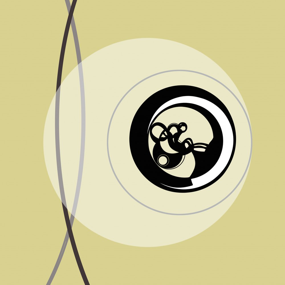 Abstracte wervelende cirkels door Alejandra Winkhaus