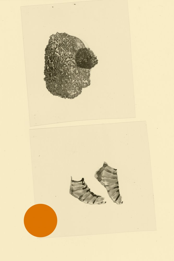 Hoofdvoet door Alexander Adiels