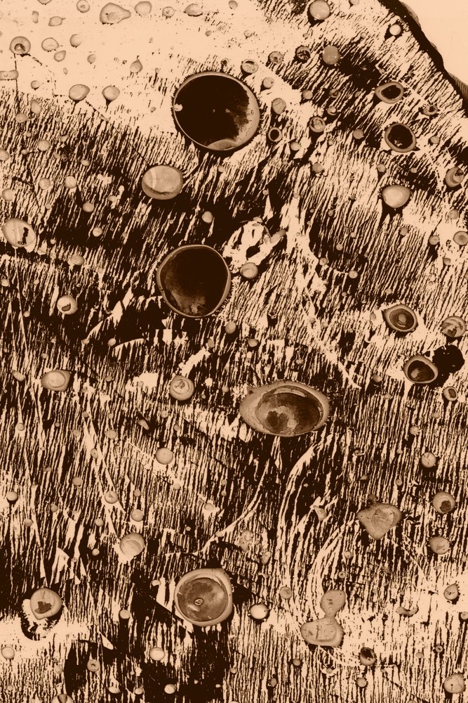 Zuurstof door Alexander Adiels