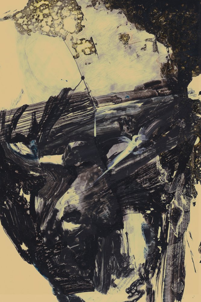 Polar door Alexander Adiels