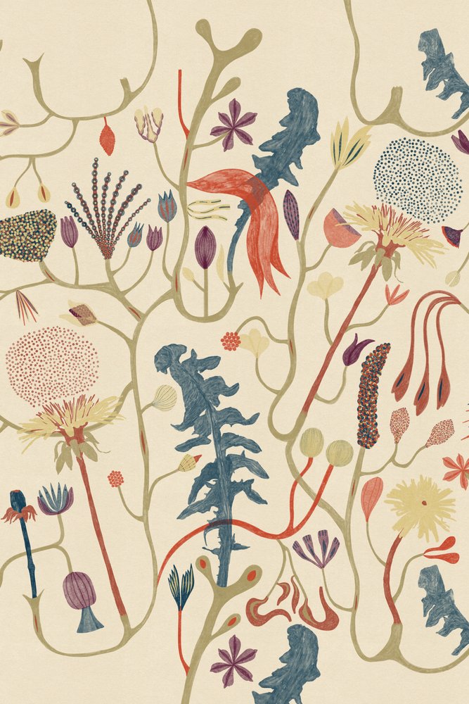 Werken door Alexander Adiels