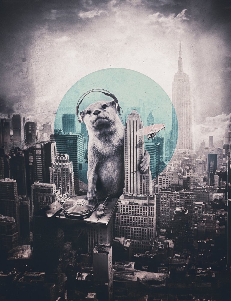 Urban Otter DJ door Ali Gulec