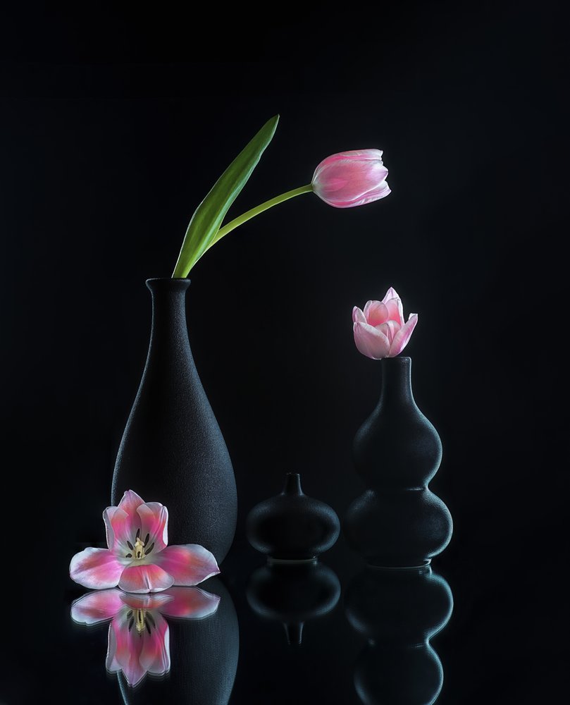Elegante tulpenreflecties door Alice Sheng