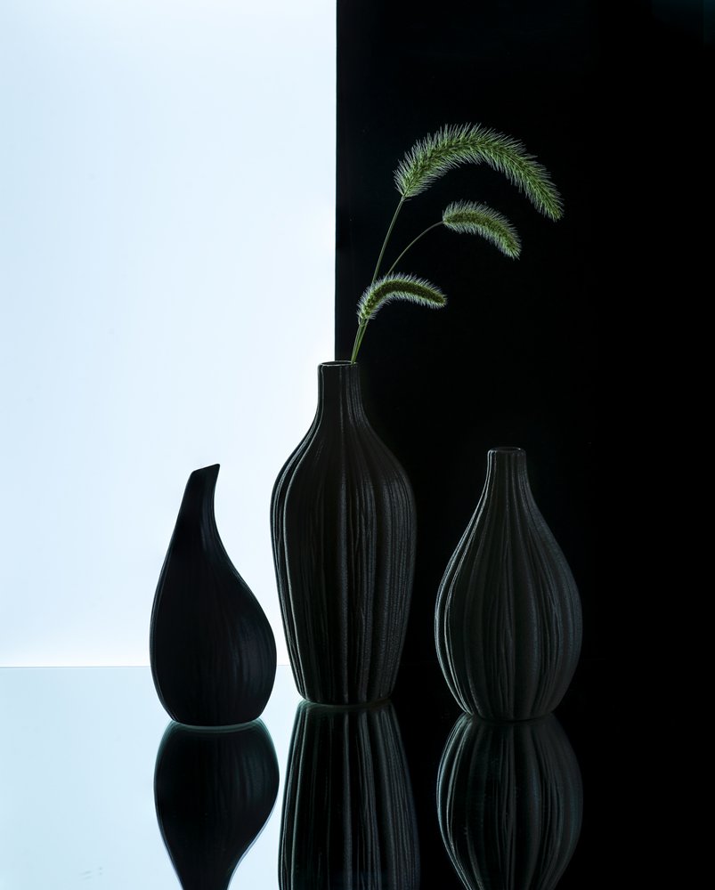 Elegante vazen met gras door Alice Sheng