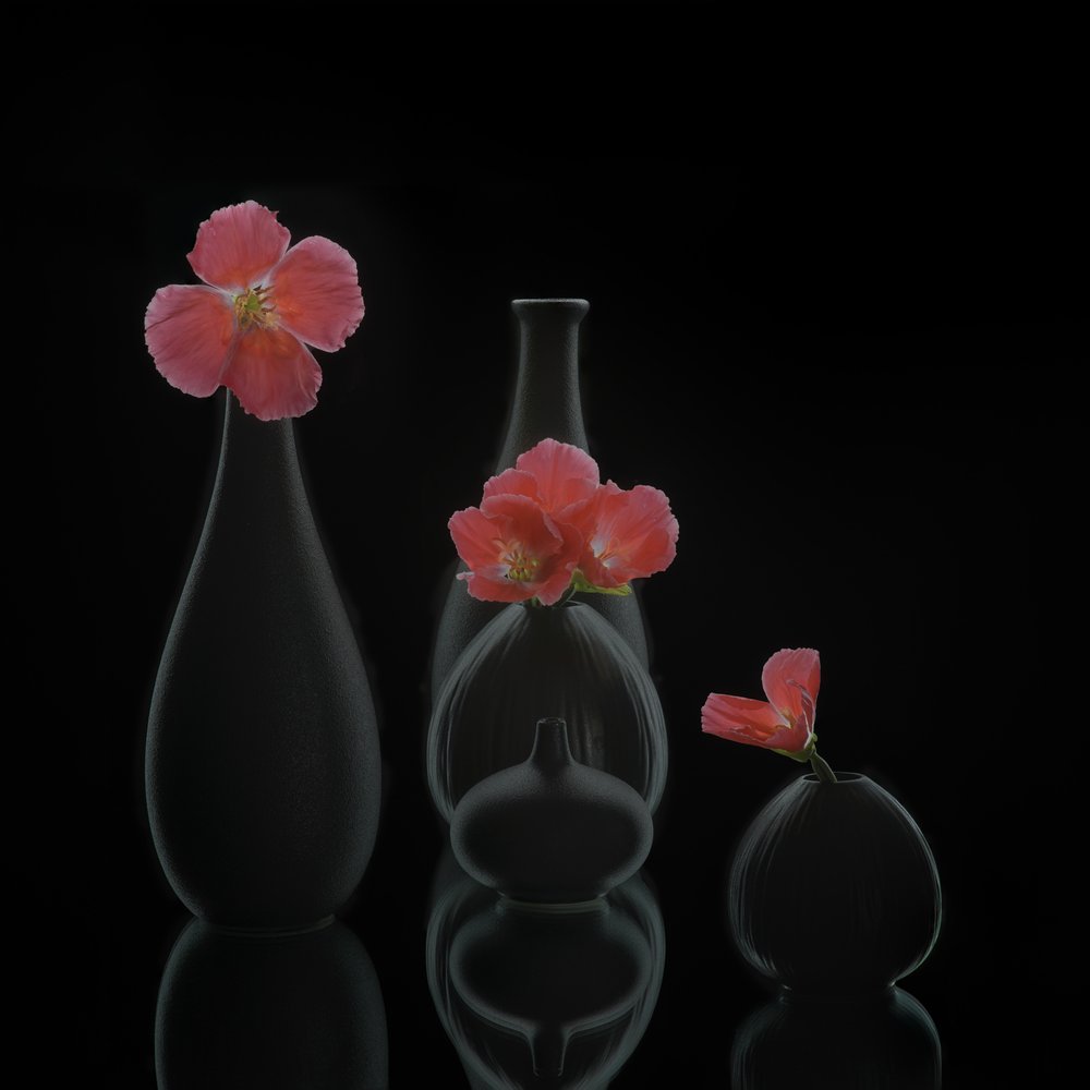 Minimalistische bloemenvazen door Alice Sheng