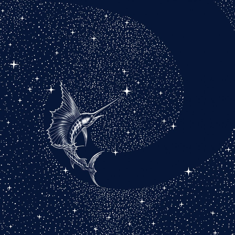 Hemelse zeilvis door Alirıza ÇAKIR