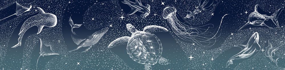 Hemelse zeedieren door Alirıza ÇAKIR