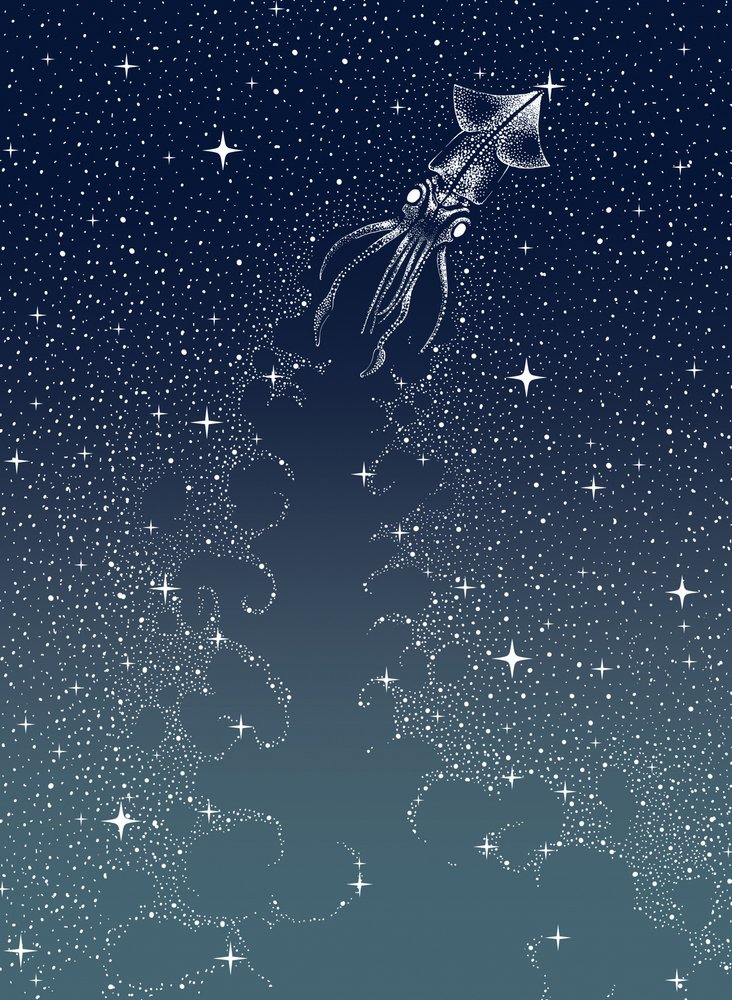 De opmars van de hemelse inktvis door Alirıza ÇAKIR