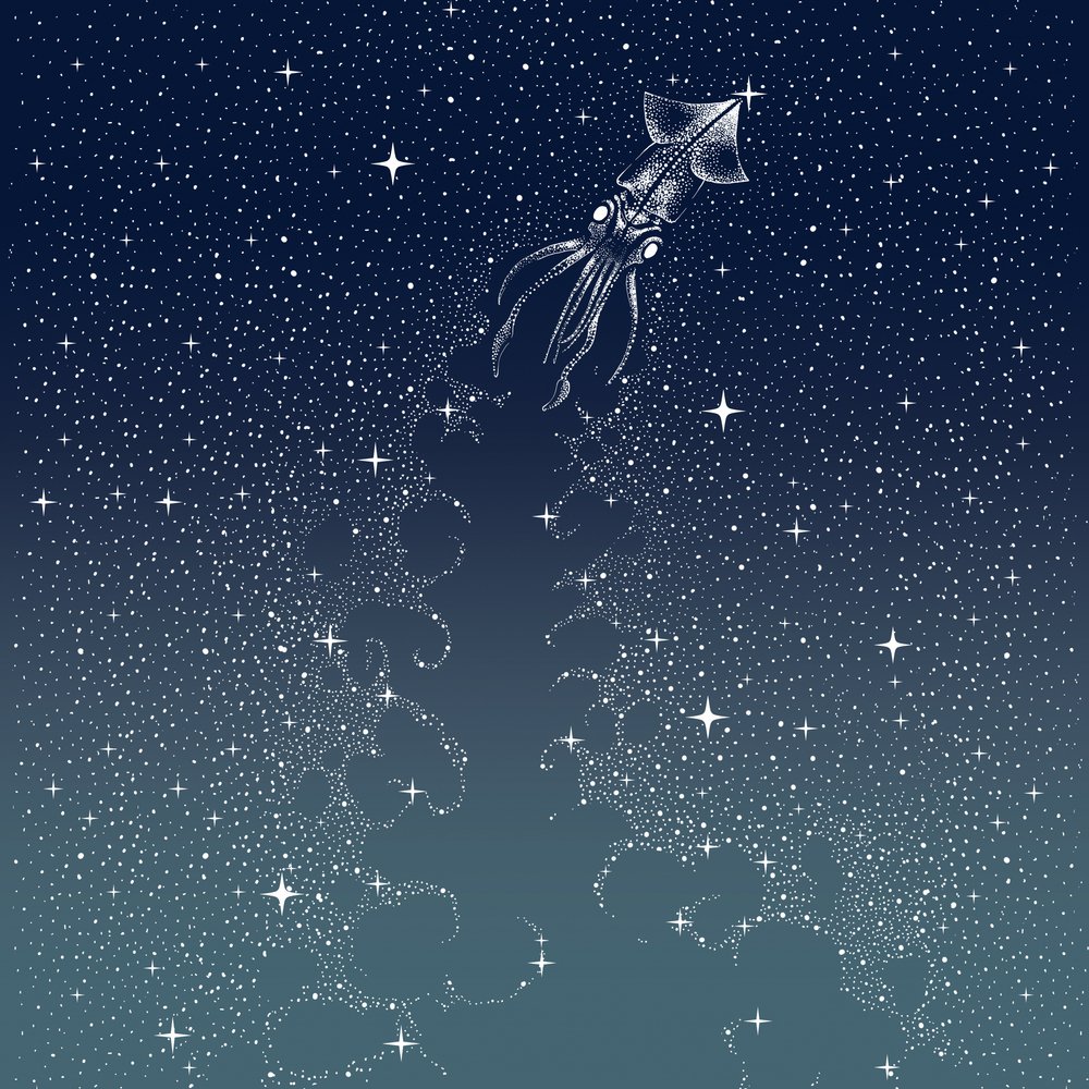 De vlucht van de hemelse inktvis door Alirıza ÇAKIR